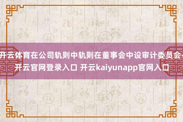 开云体育在公司轨则中轨则在董事会中设审计委员会-开云官网登录入口 开云kaiyunapp官网入口