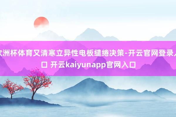 欧洲杯体育又清寒立异性电板缱绻决策-开云官网登录入口 开云kaiyunapp官网入口